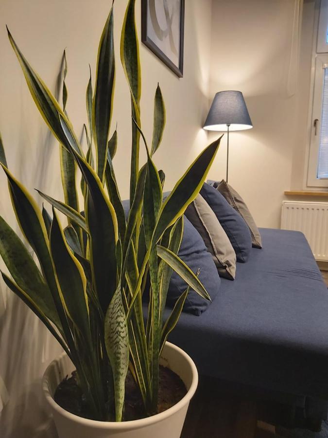 Apartament Na Wyspie Opole Esterno foto